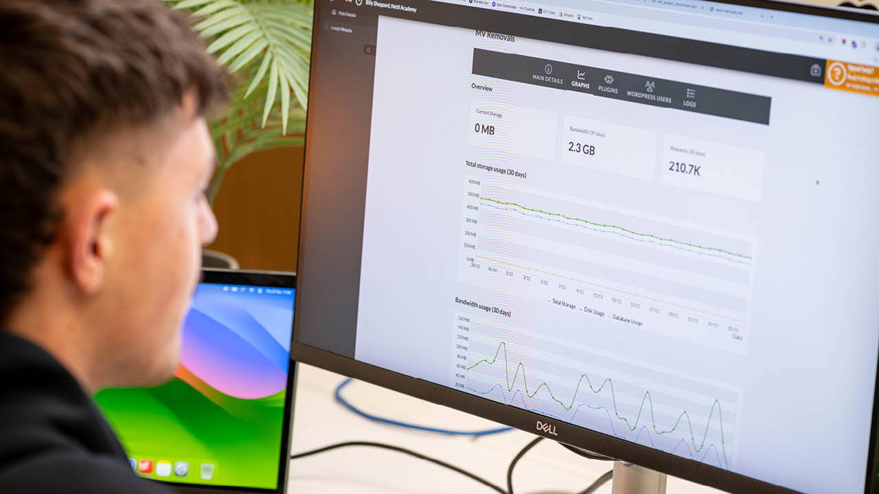 Two Nettl employees working through a web-hosted server.